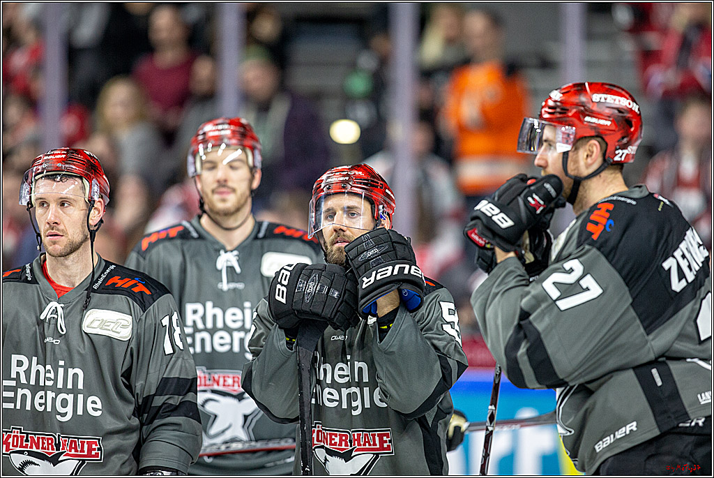 DEL; Koelner Haie - EHC Red Bull Muenchen, 17.02.2019